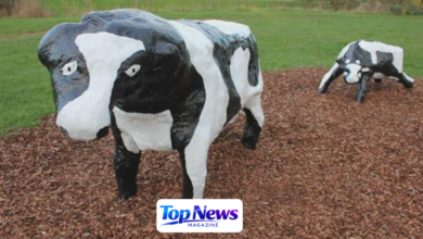Milton Keynes Concrete Cows