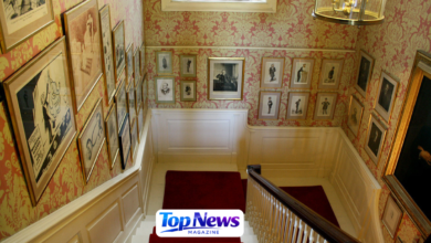 11 Downing Street